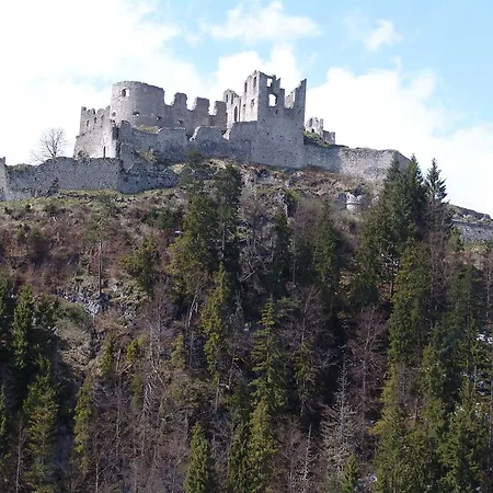 Appartement Brabander Alm *