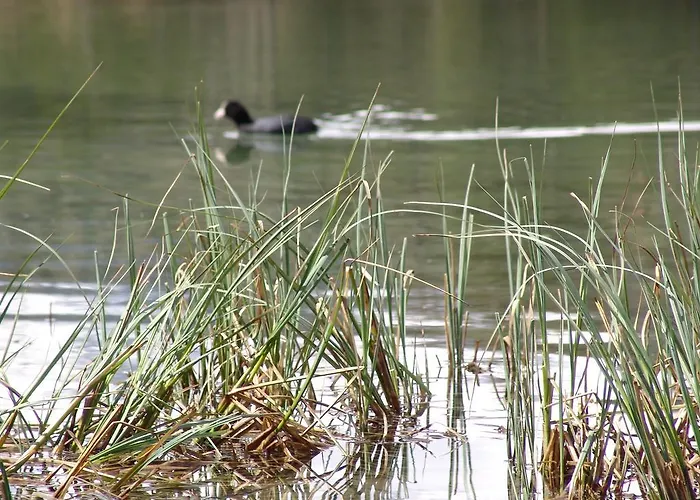 Brabander Alm * Biberwier